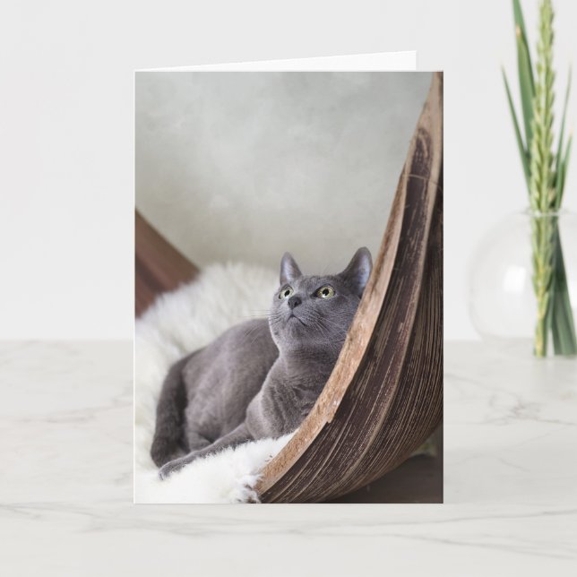Russian Blue Card (Front)