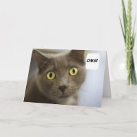 Russian Blue Cat Birthday Card