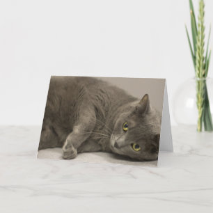Russian Blue Cat Blank Note Card