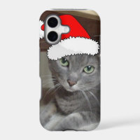 Russian Blue Cat Christmas