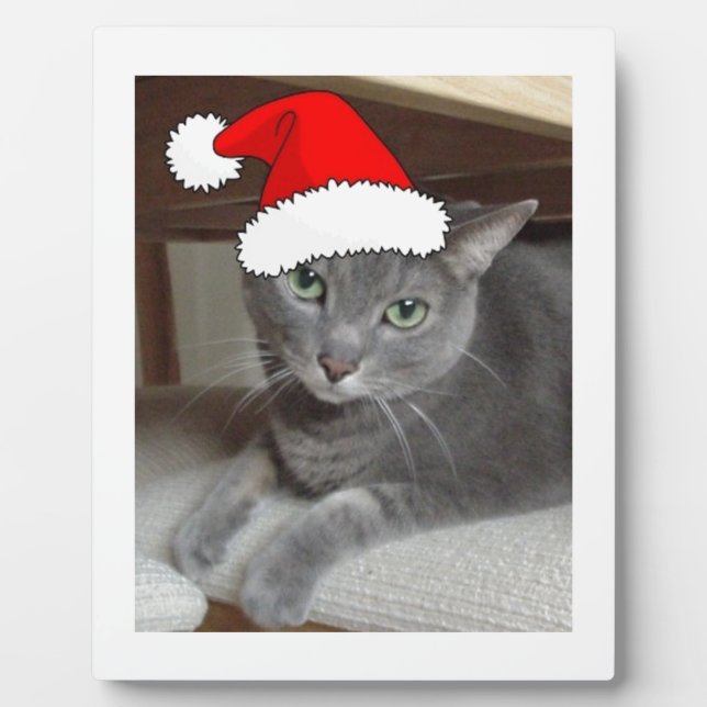 Russian Blue Cat Christmas Plaque (Front)