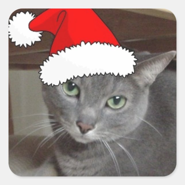 Russian Blue Cat Christmas Square Sticker (Front)