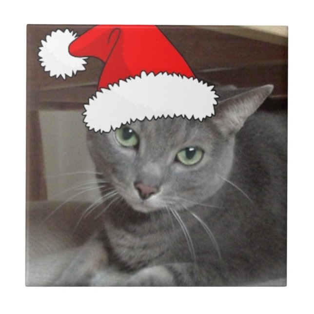 Russian Blue Cat Christmas Tile (Front)