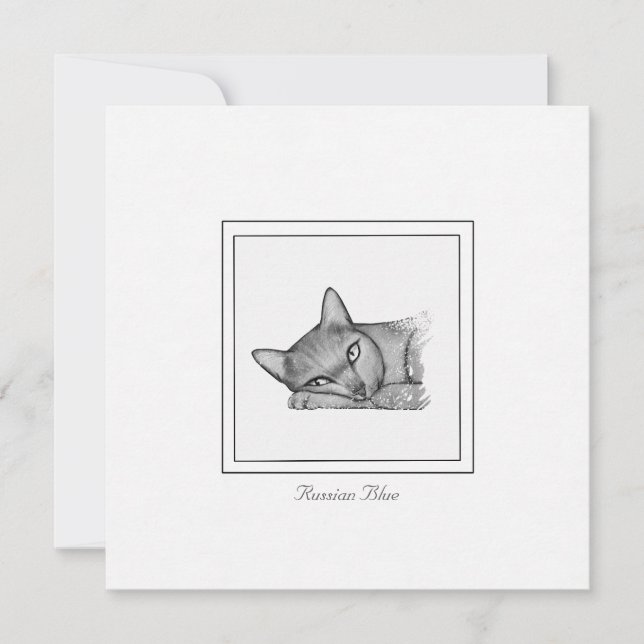 Russian Blue Cat Contemporary Drawing Card (Front)