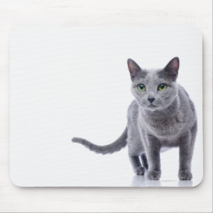 Russian Blue Cat Mouse Pad