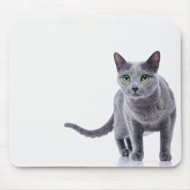 Russian Blue Cat Mouse Pad (Front)