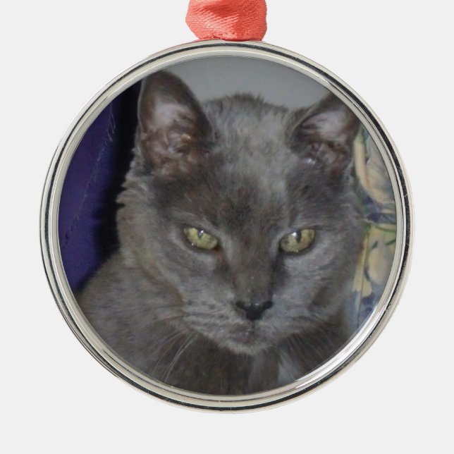 Russian Blue Cat Ornament (Front)