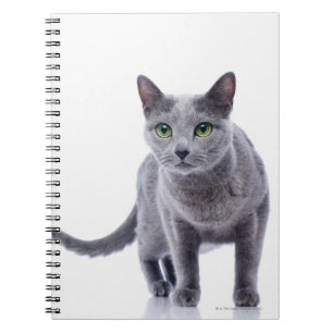 Russian Blue Cat Spiral Notebook