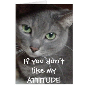 Russian Blue Grey Cat Attitude Humour