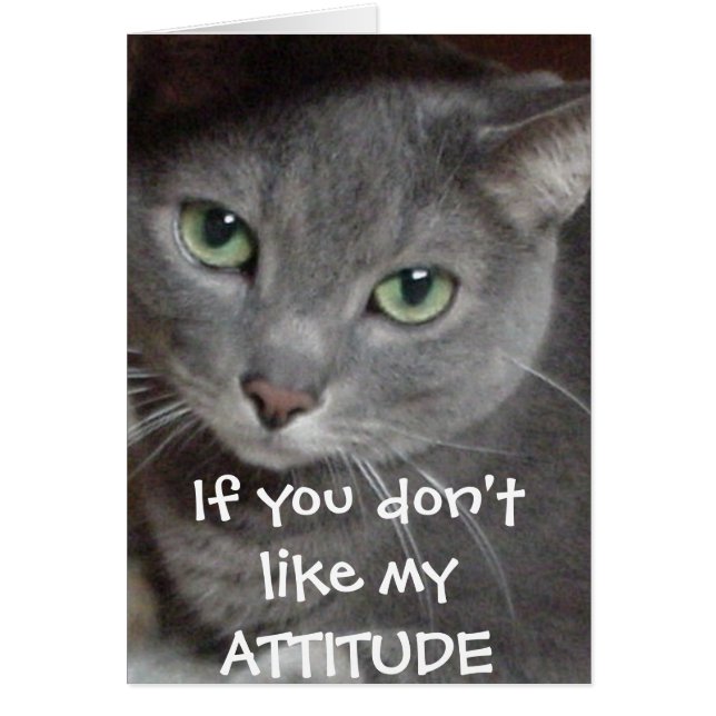 Russian Blue Grey Cat Attitude Humour (Front)