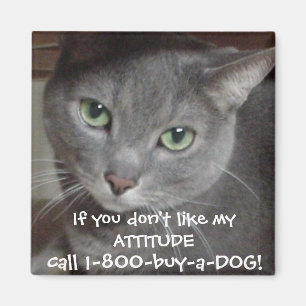 Russian Blue Grey Cat Attitude Humour Magnet