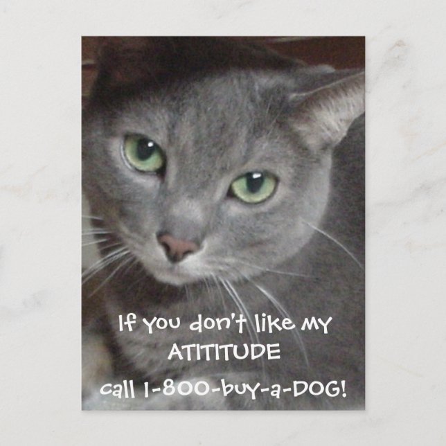 Russian Blue Grey Cat Attitude Humour Postcard (Front)
