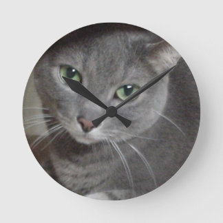 Russian Blue Grey Cat Round Clock