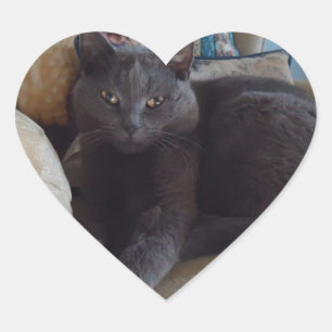 Russian Blue Heart Sticker