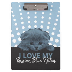 Russian Blue Kitten Clipboard
