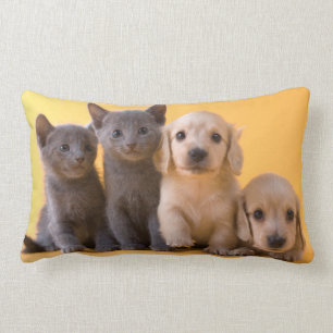 Russian Blue Kittens And Dachshund Puppies Lumbar Cushion