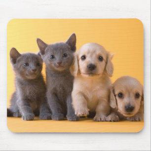 Russian Blue Kittens And Dachshund Puppies Mouse Pad