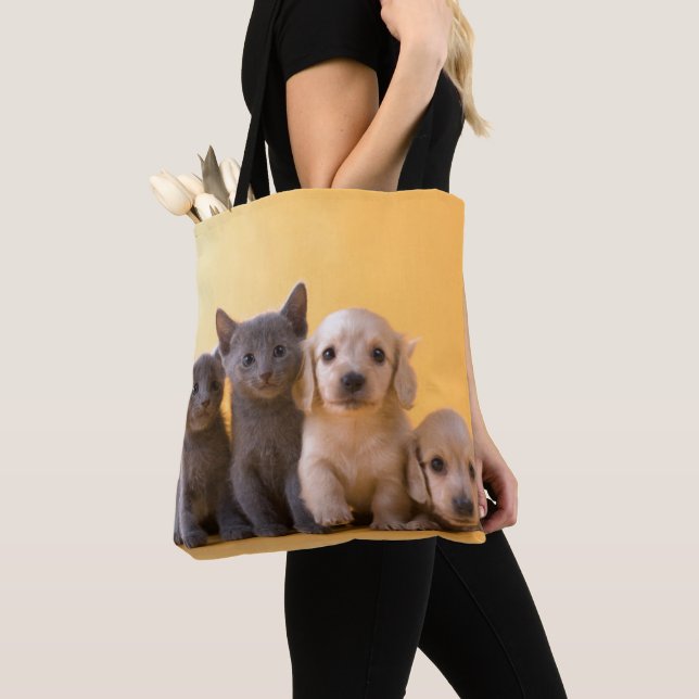 Russian Blue Kittens And Dachshund Puppies Tote Bag (Close Up)