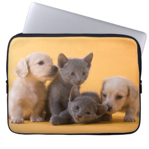 Russian Blue Kittens & Dachshund Puppies Laptop Sleeve