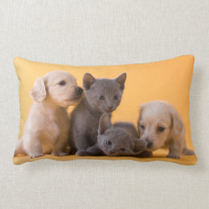 Russian Blue Kittens & Dachshund Puppies Lumbar Cushion