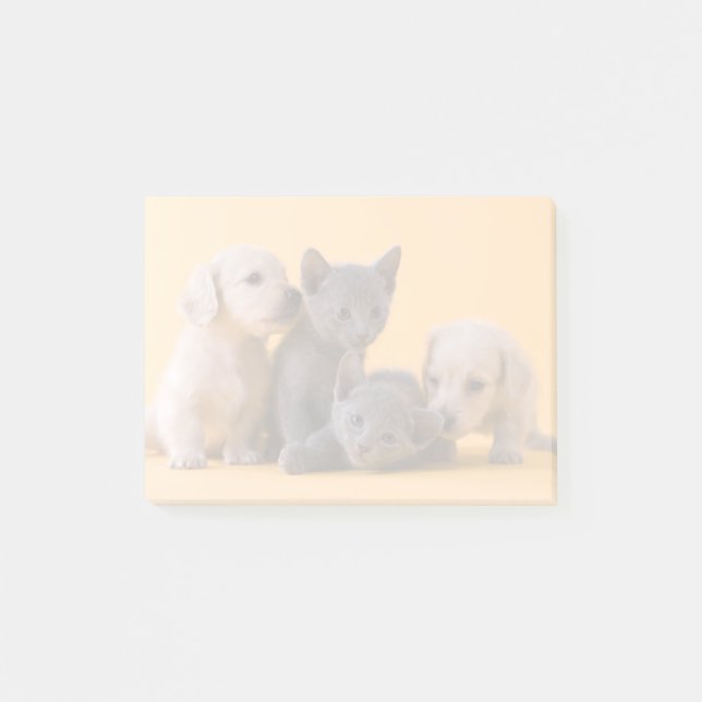 Russian Blue Kittens & Dachshund Puppies Post-it Notes (Front)