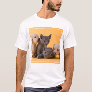 Russian Blue Kittens & Dachshund Puppies T-Shirt