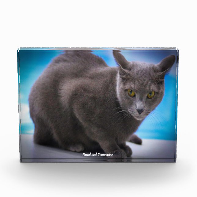 Russian Blue Photo Block (Front)