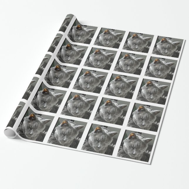 Russian Blue Wrapping Paper (Unrolled)