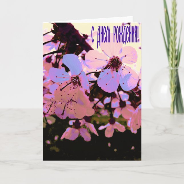 Russian Happy Birthday  card with Cherry Flowers (Front)