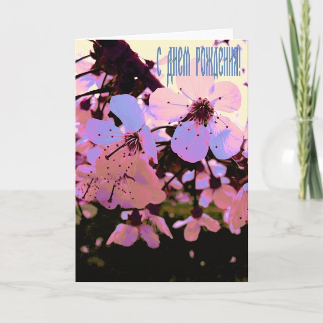 Russian Happy Birthday  card with Cherry Flowers (Front)