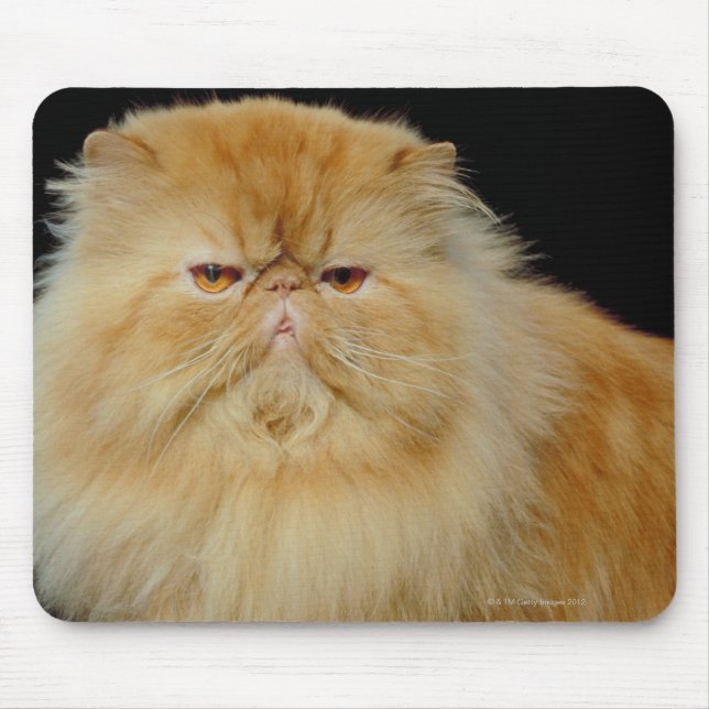Russian Long Hair Cat Mouse Pad (Front)