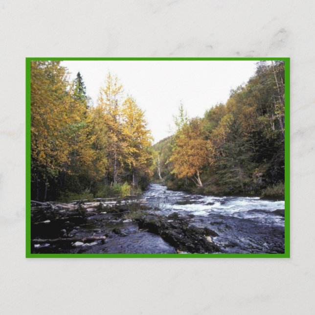 Russian River Postcard (Front)