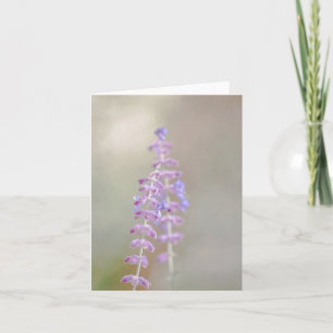Russian Sage Blank Notecard
