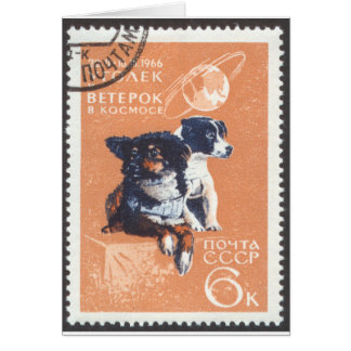 Russian Space Dogs 1966 Cosmos 110