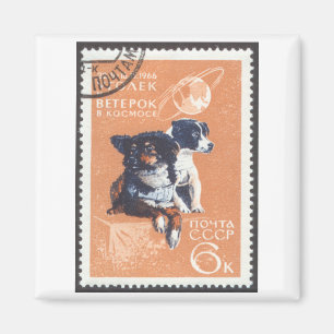 Russian Space Dogs 1966 Cosmos 110 Magnet