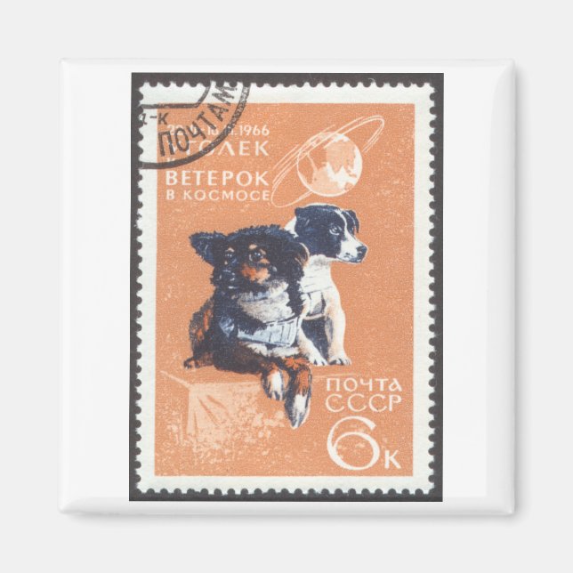 Russian Space Dogs 1966 Cosmos 110 Magnet (Front)