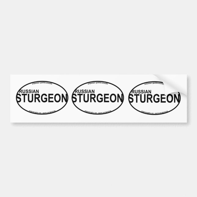 Russian Sturgeon Euro Stickers (Front)