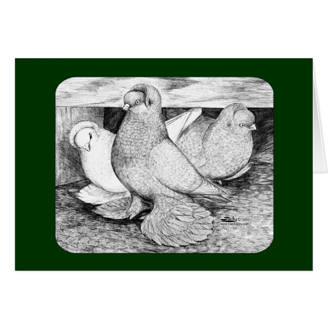 Russian Tumbler Pigeons 1984 (Front Horizontal)