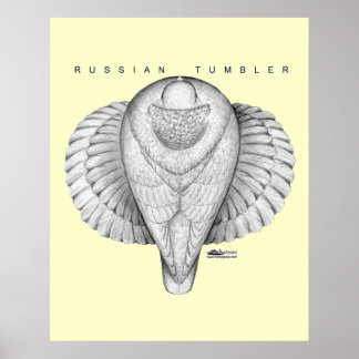 Russian Tumbler Top View Poster