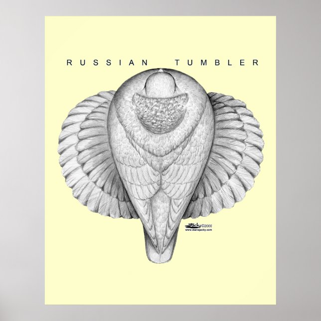 Russian Tumbler Top View Poster (Front)