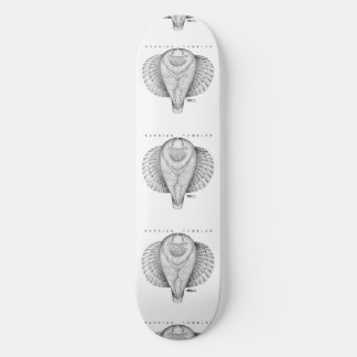 Russian Tumbler Top View Skateboard