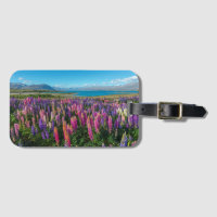 Russle Lupines at Lake Tekapo | New Zealand