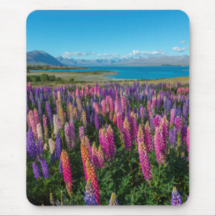 Russle Lupines at Lake Tekapo New Zealand Mouse Pad