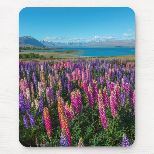 Russle Lupines at Lake Tekapo | New Zealand Mouse Pad (Front)