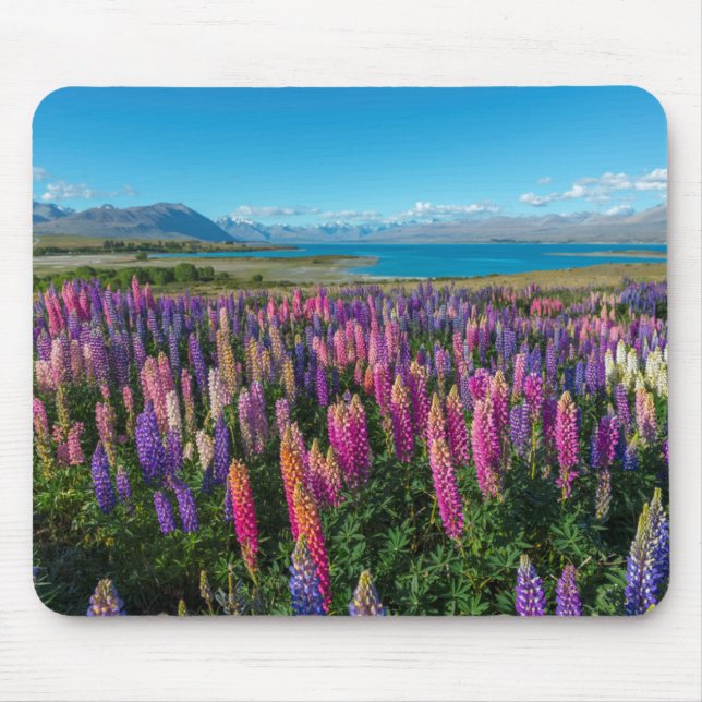 Russle Lupines at Lake Tekapo | New Zealand Mouse Pad (Front)