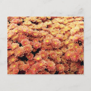 Rust coloured postcard