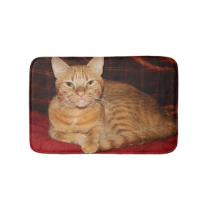 Rust Orange Tabby Cat Smiling Bath Mat