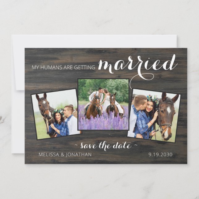 Rustic 3 Photo Horse Pet Wedding Engagement Save The Date (Front)