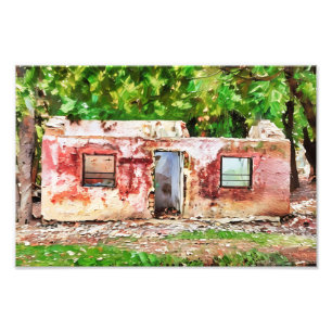 Rustic Abandoned House Amidst Green Forest  Photo Print