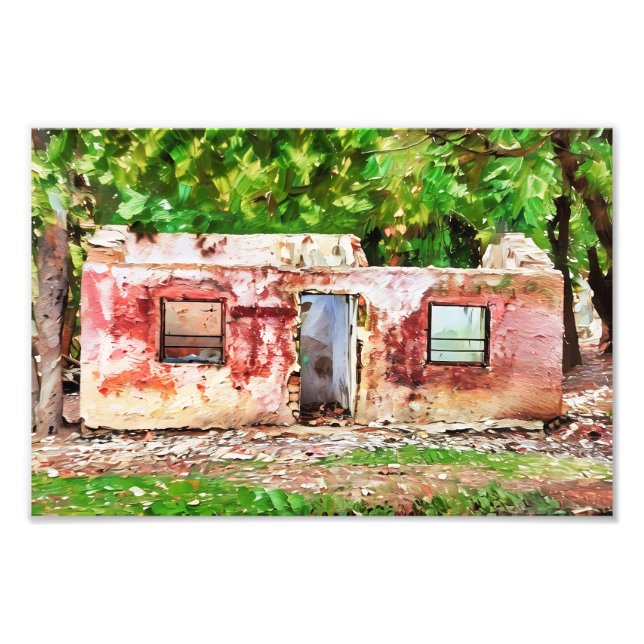 Rustic Abandoned House Amidst Green Forest  Photo Print (Front)